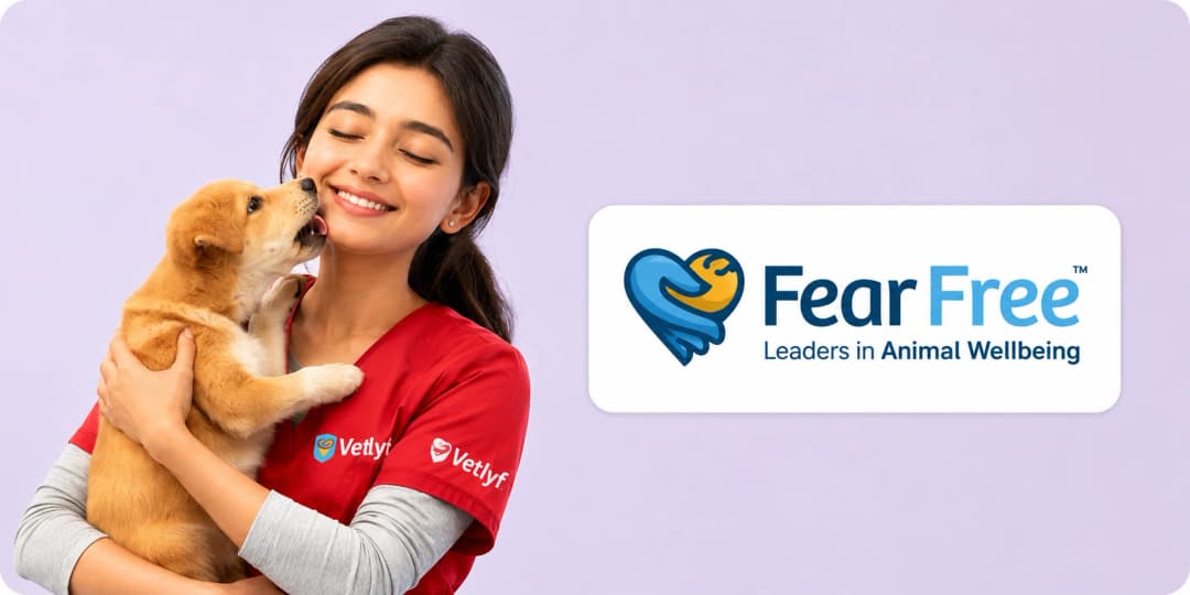 Vetlyf veterinarian holding a puppy - Fear Free Certified care