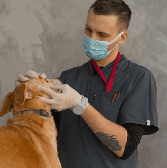General Pet Health Check Consultation